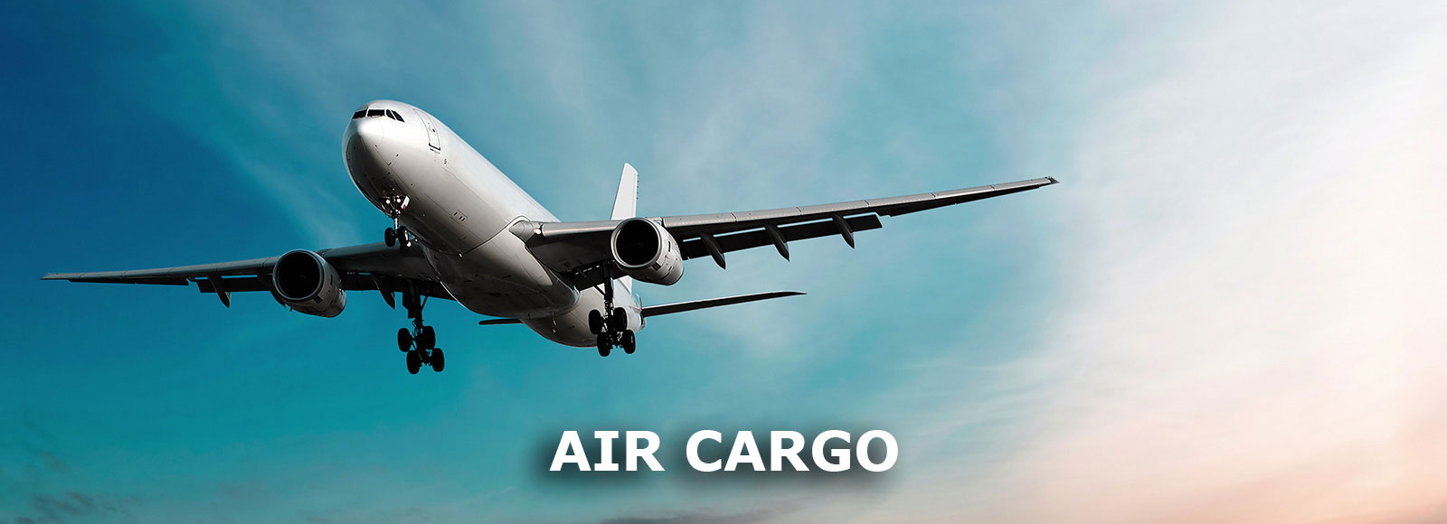 Air Cargo